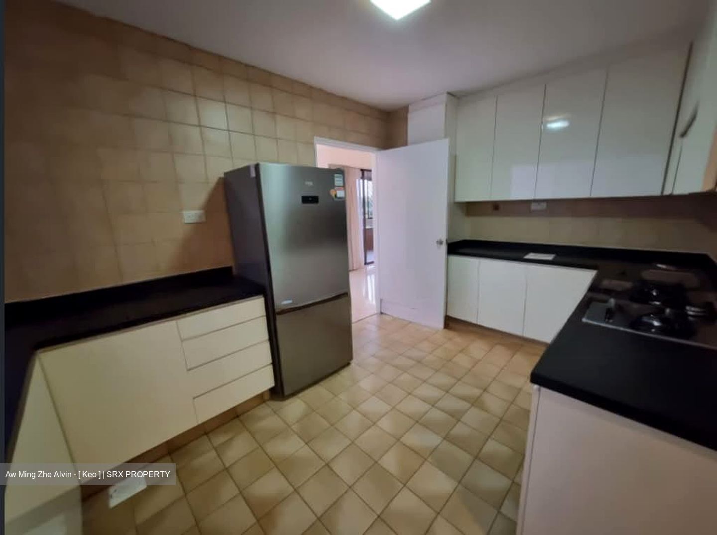 The Cairnhill (D9), Condominium #584422281
